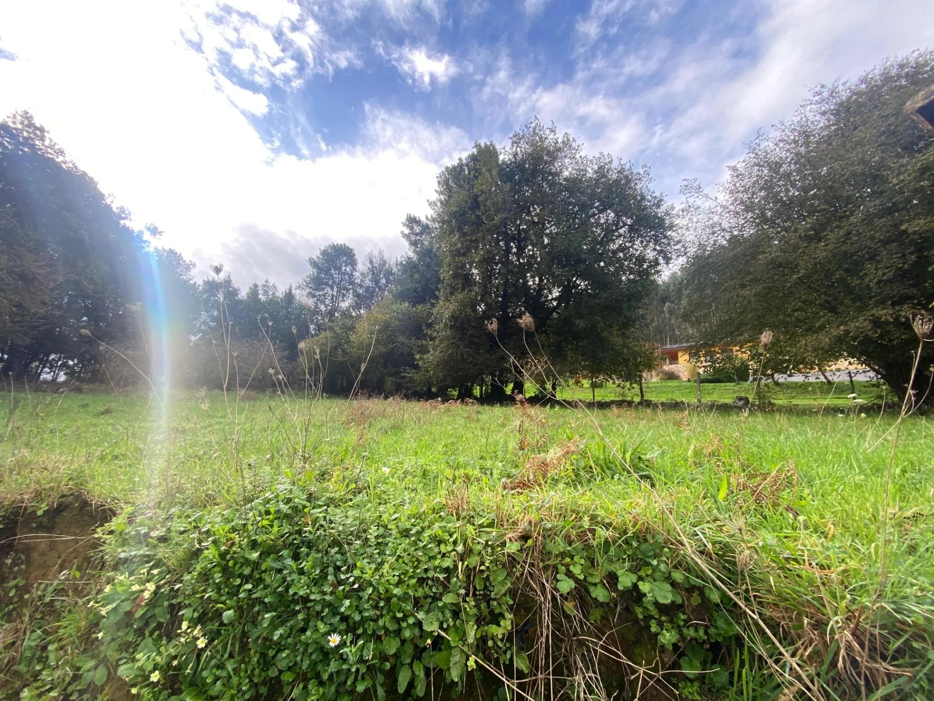 Terreno urbanizable en Escalante, 2.841 m²