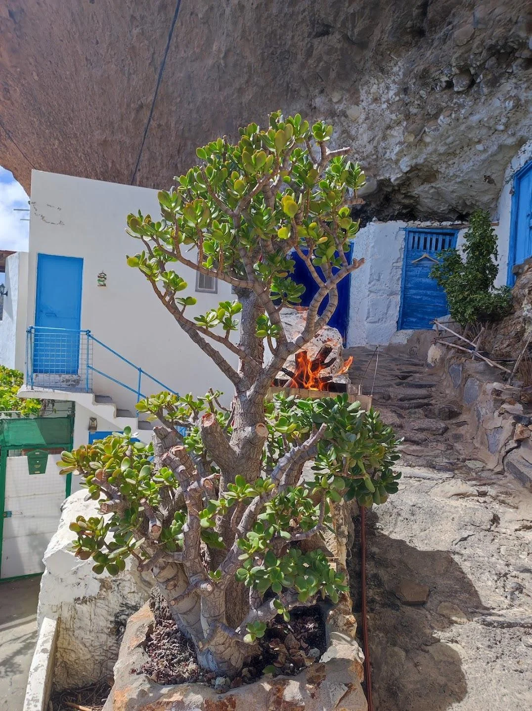 Casa cueva en Tejeda con tres dormitorios