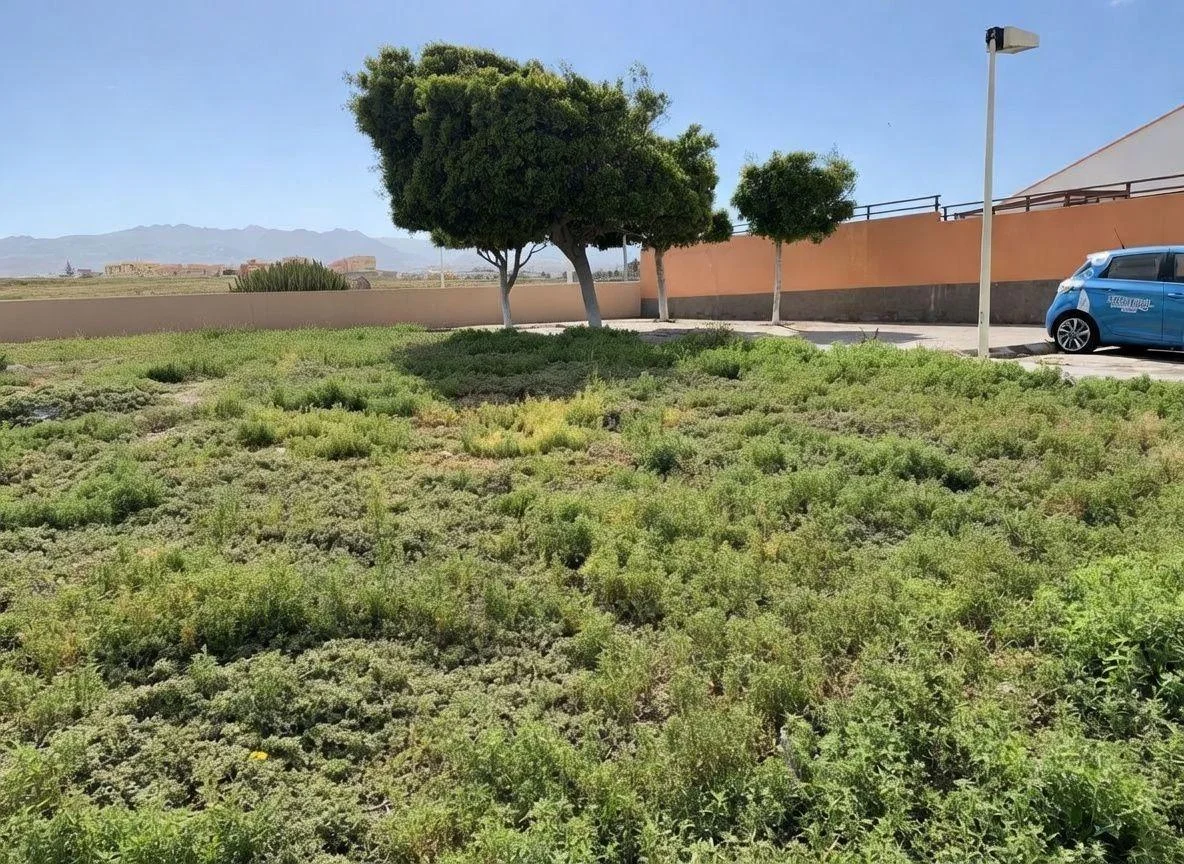 Parcela urbana cerca de La Garita, 419 m²