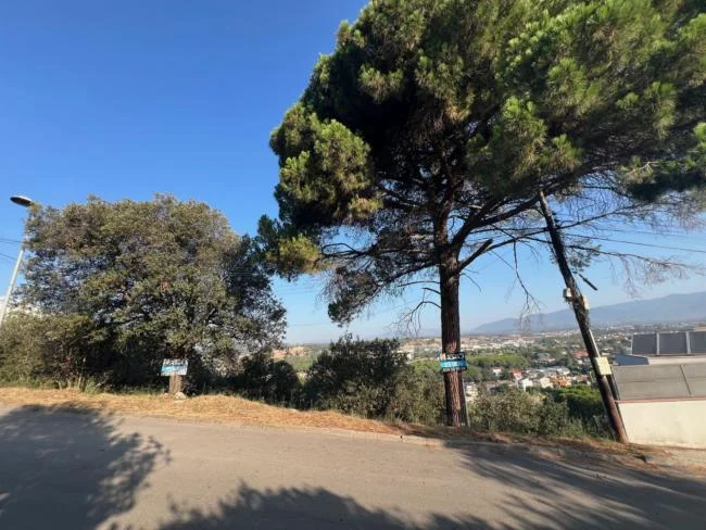 Parcela edificable de 959 m² en Llinars