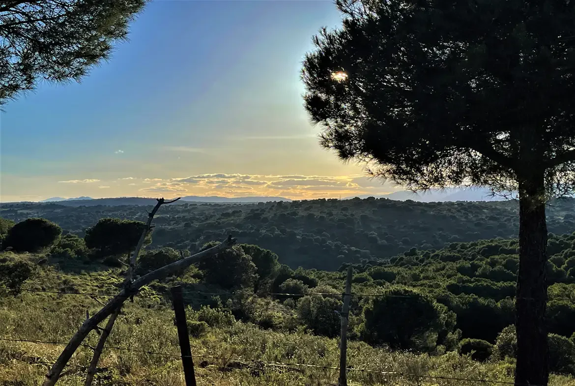 Large estate near Madrid