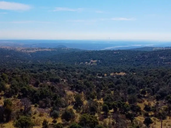 Rustic estate near Colmenar, 75,000 m²