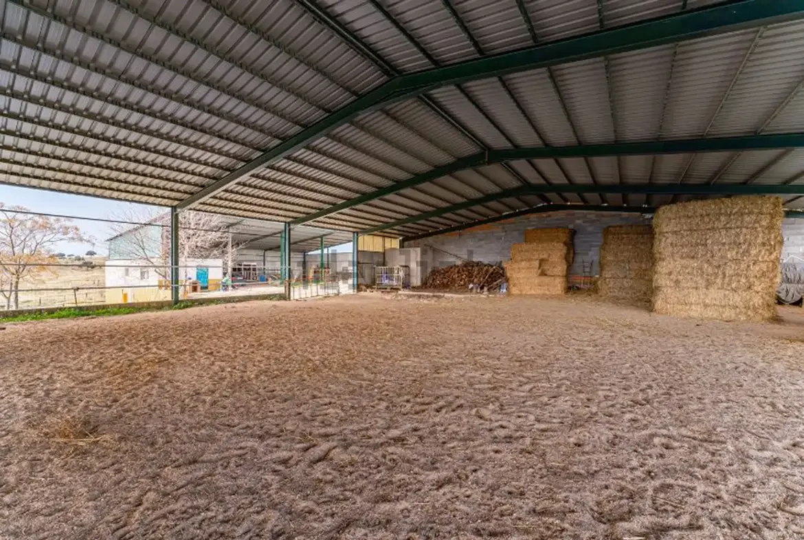 Equestrian estate with 11-hectare grounds