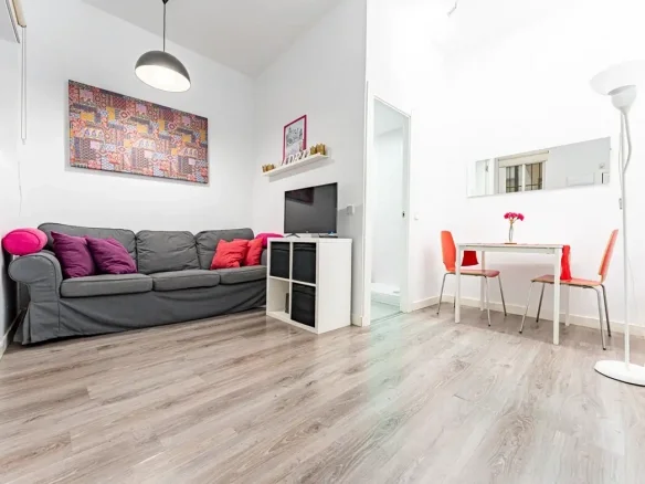 Central Madrid flat, 1 bedroom