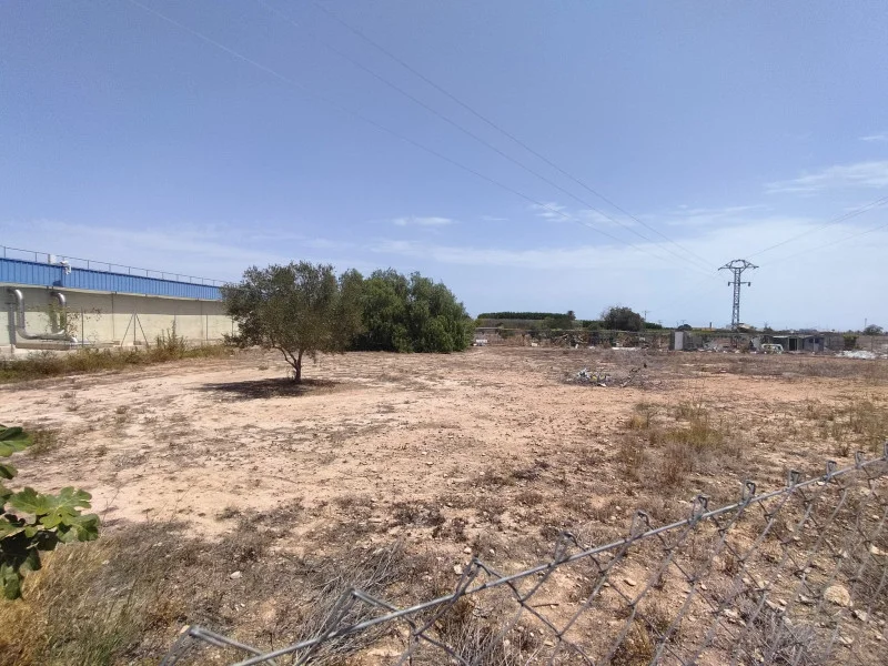 Parcela rústica cerca de Albalat, 2511 m²