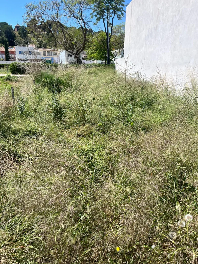 Buildable Puig plot, 151 m²