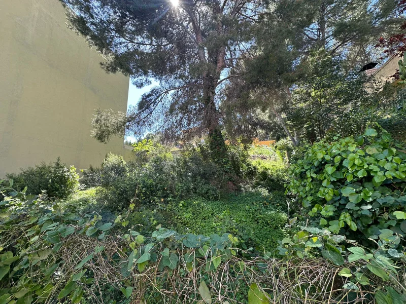 Gilet urban plot, 800 m² potential