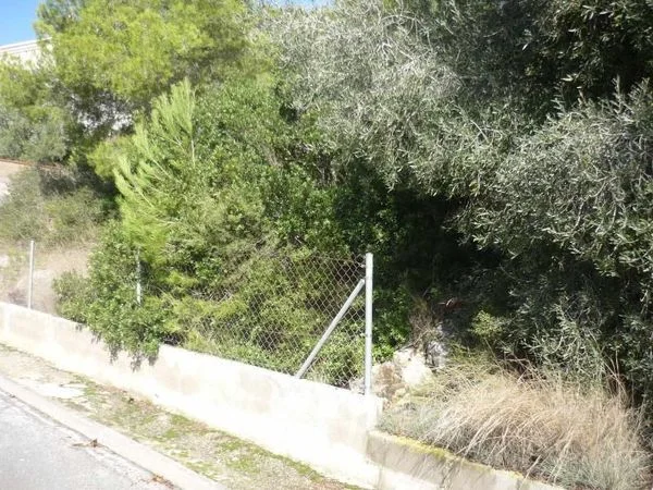 Developable plot near Cunit with views
