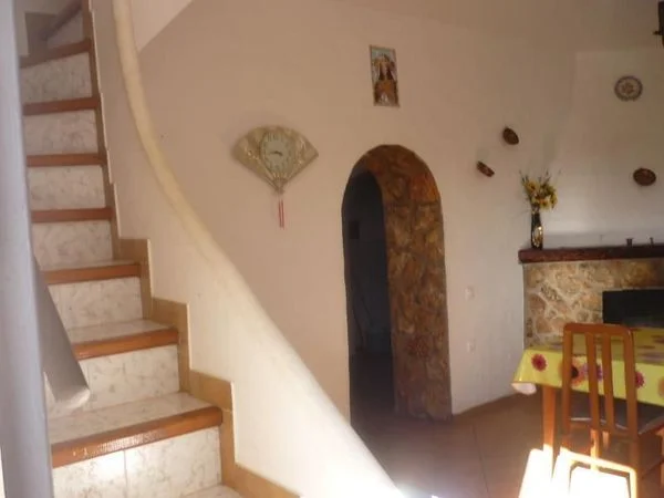 Finca de olivos cerca de Vila-rodona