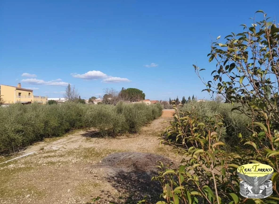 Parcela urbana en Alcover, 1.026 m²