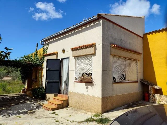 Finca rústica de olivos con casa