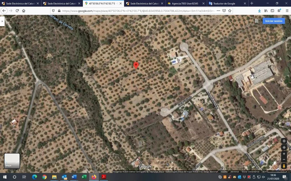 Finca rústica de olivos con vistas al mar