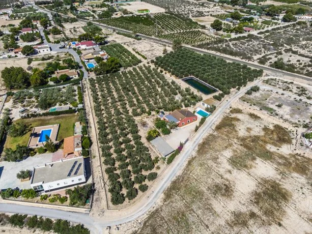 Finca rural en Matola con 370 olivos
