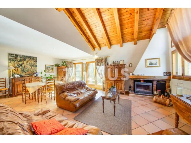 Large sunny chalet in Anyós