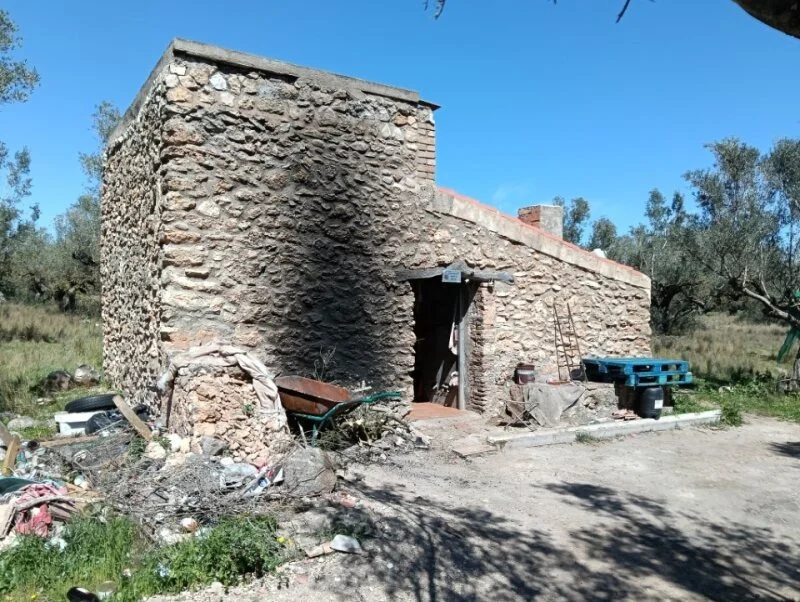 Casa rural reformada en finca de olivos