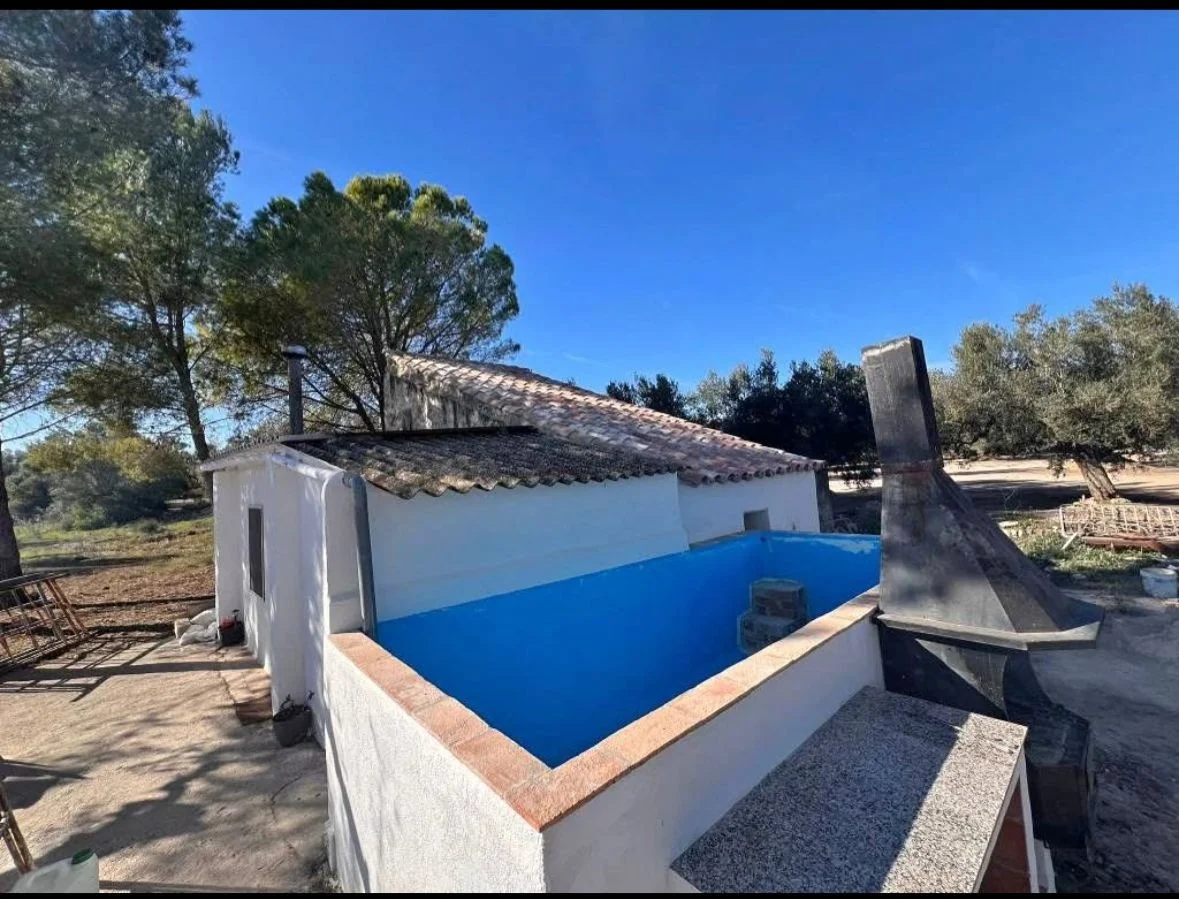 Finca de olivos con casa y terreno