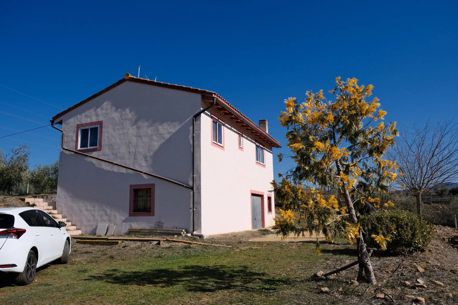 Finca olivarera productiva cerca de Falset