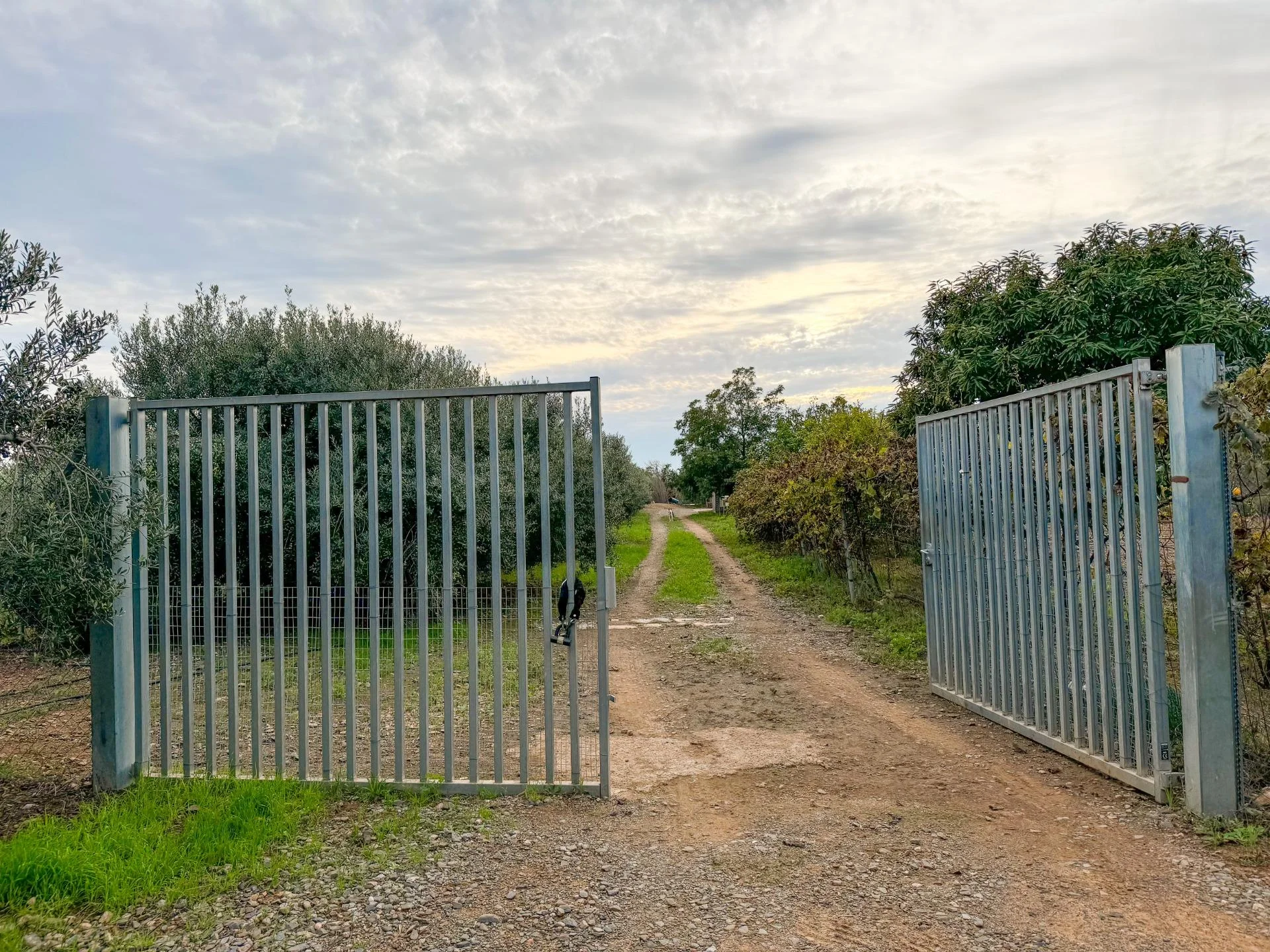 Finca rural con parcela de 11.656 m²