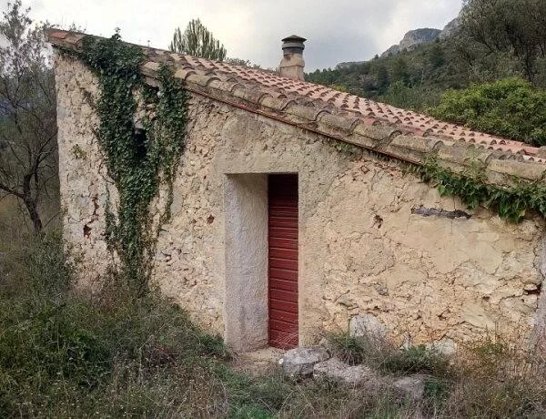 Finca rústica de olivos con masía