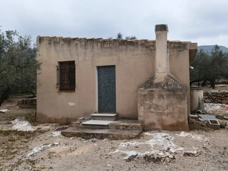 Finca de olivos productiva de 12.768 m²
