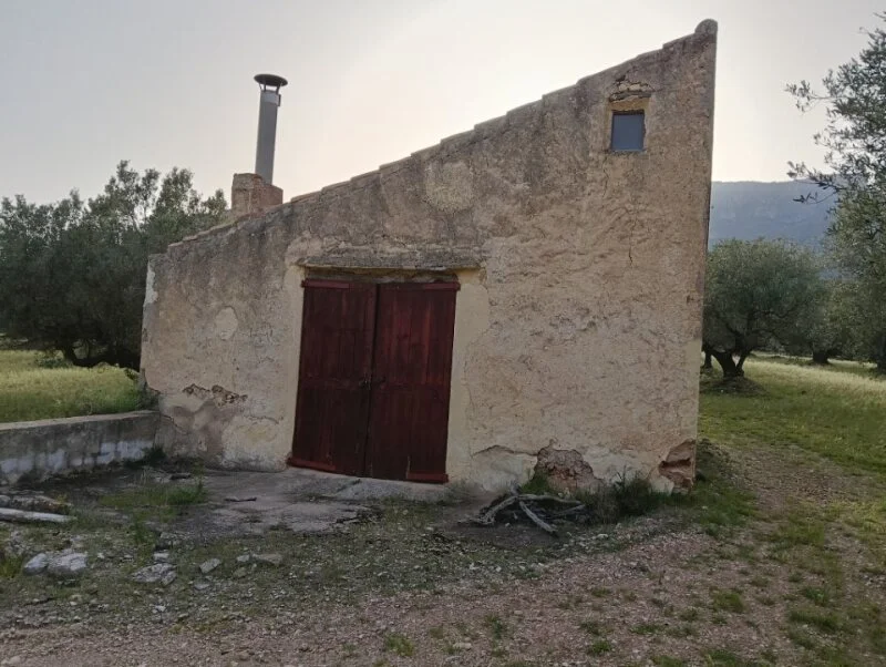 Finca rústica de olivos con masía