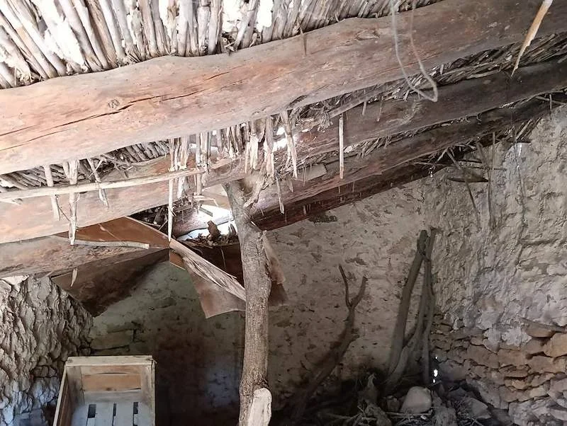 Finca rústica de olivos con casa para reformar