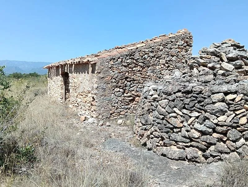 Finca rústica de olivos con casa de piedra