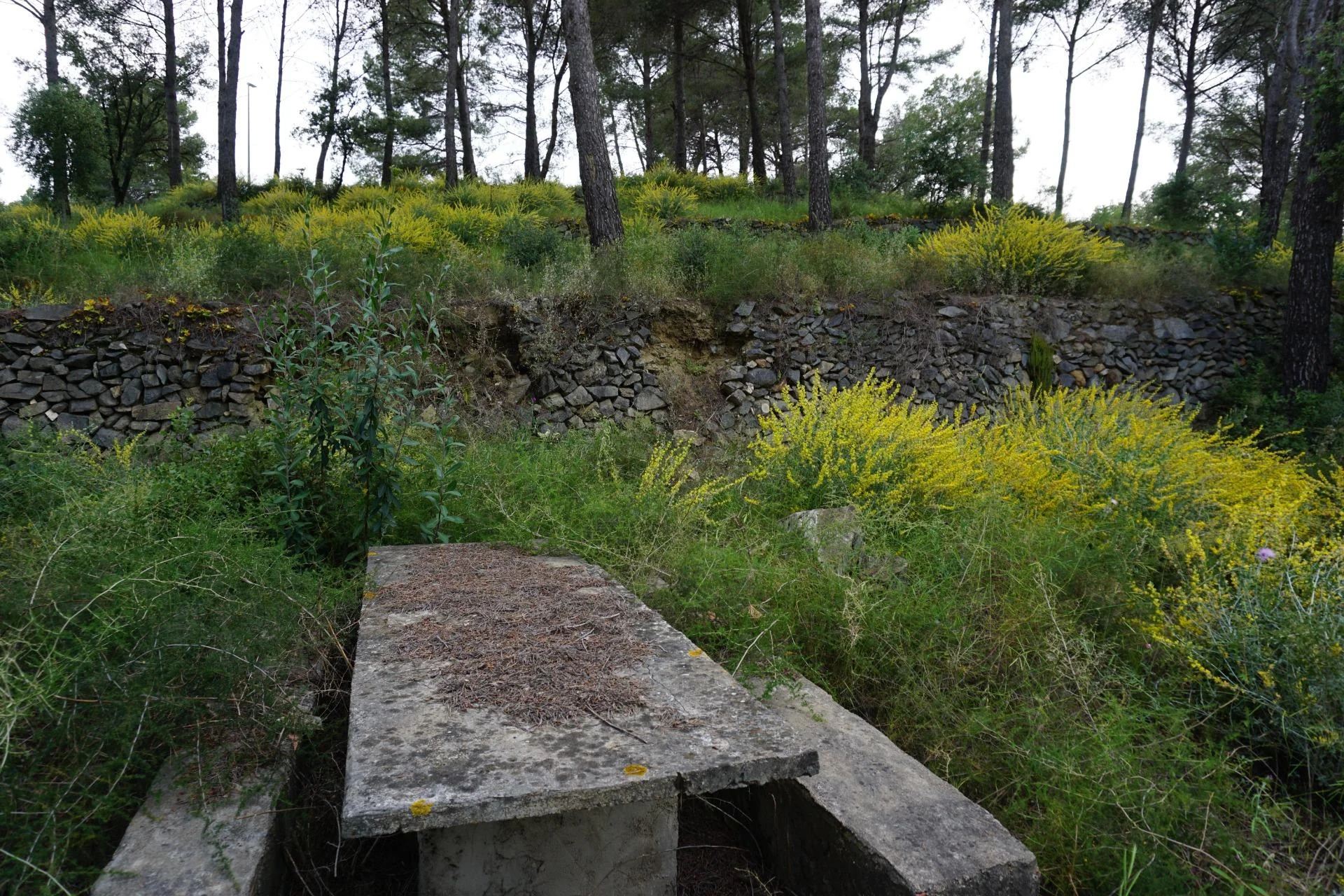 Tres parcelas en Riudecanyes con vistas al mar