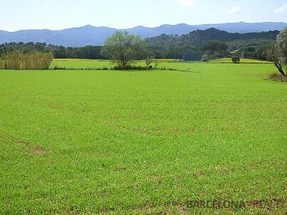 Masía rústica con finca de 14 hectáreas