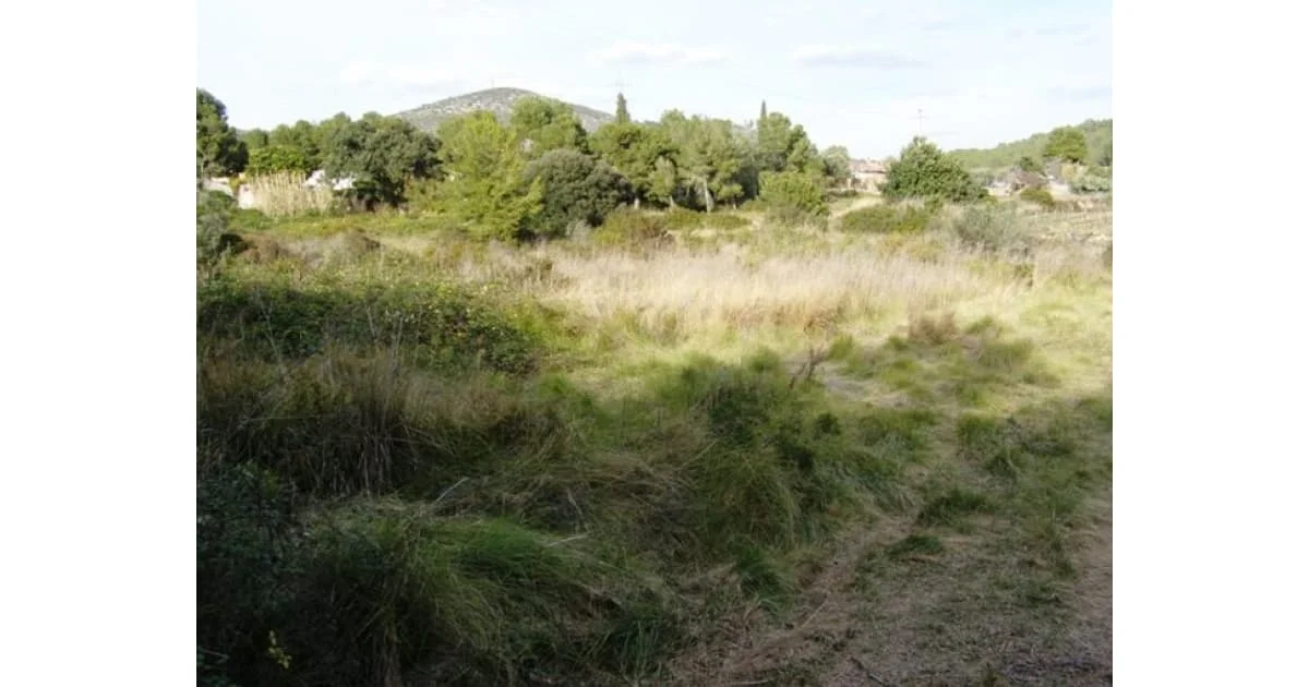 Large plot in Torre d'en Veguer