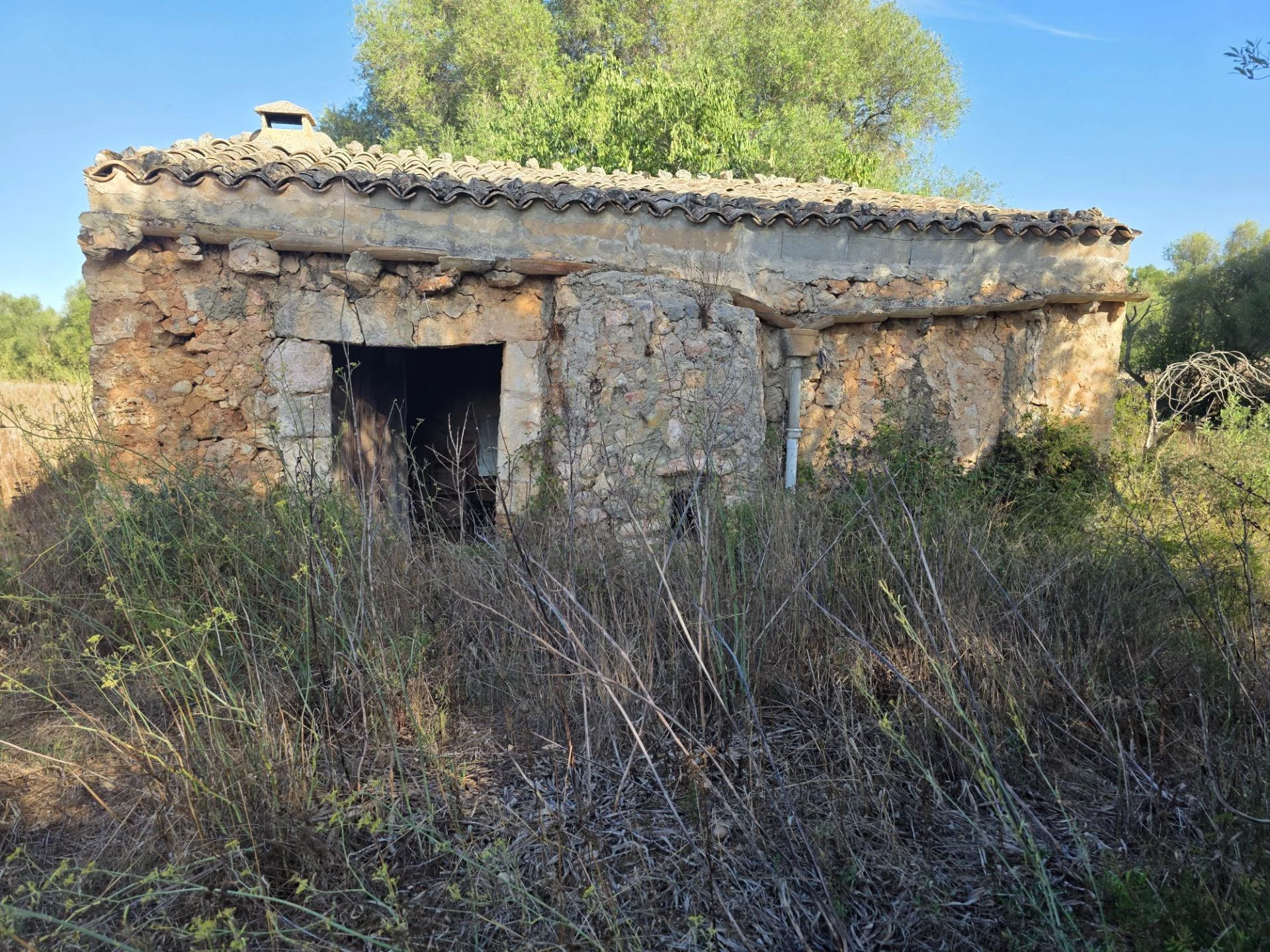 Rustic plot near Costitx with cottage