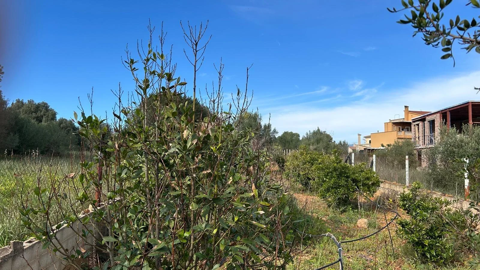 Urban plot in Pòrtol, 978 m²