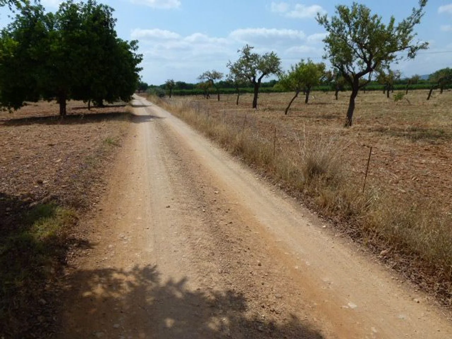 Terreno rural en Binissalem de 43.192 m²