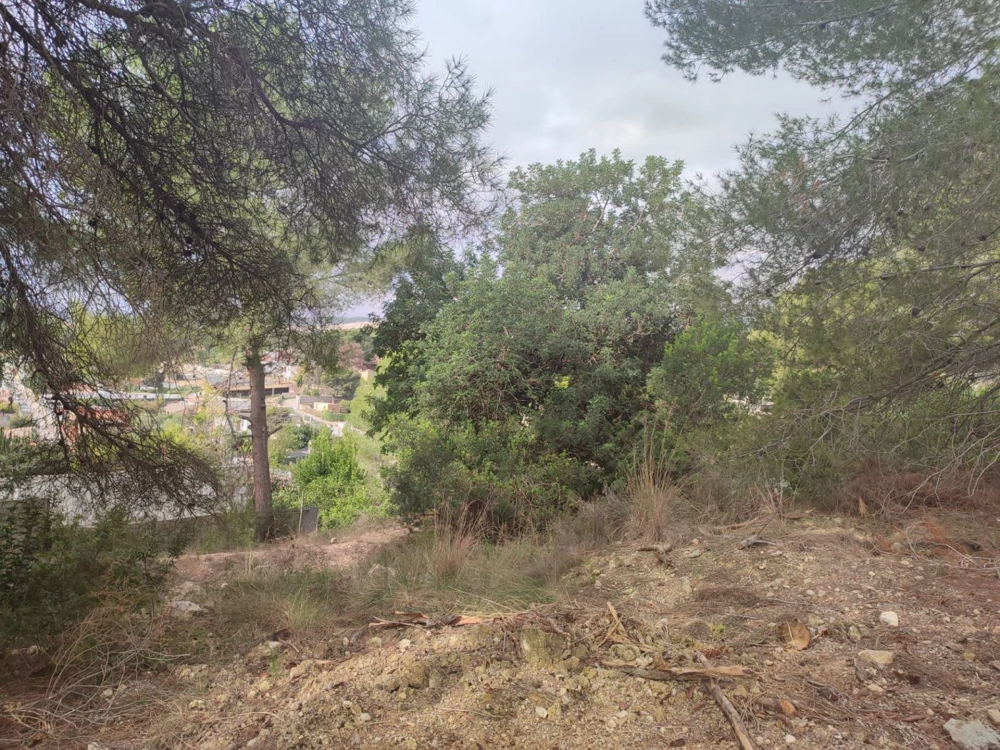 Rural Serra plot near nature