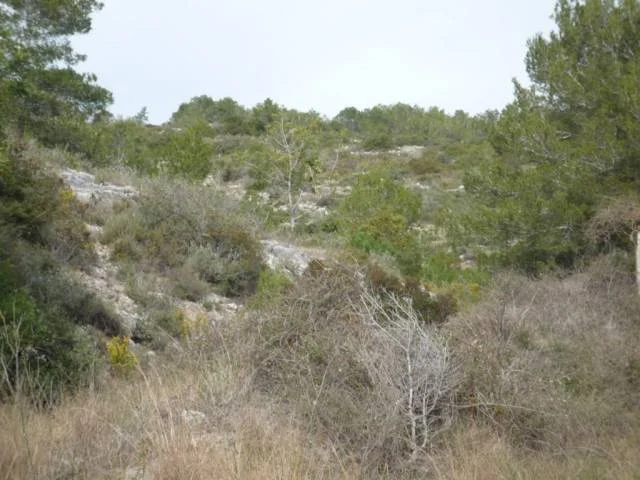 Terreno rural del Garraf de 108075 m²