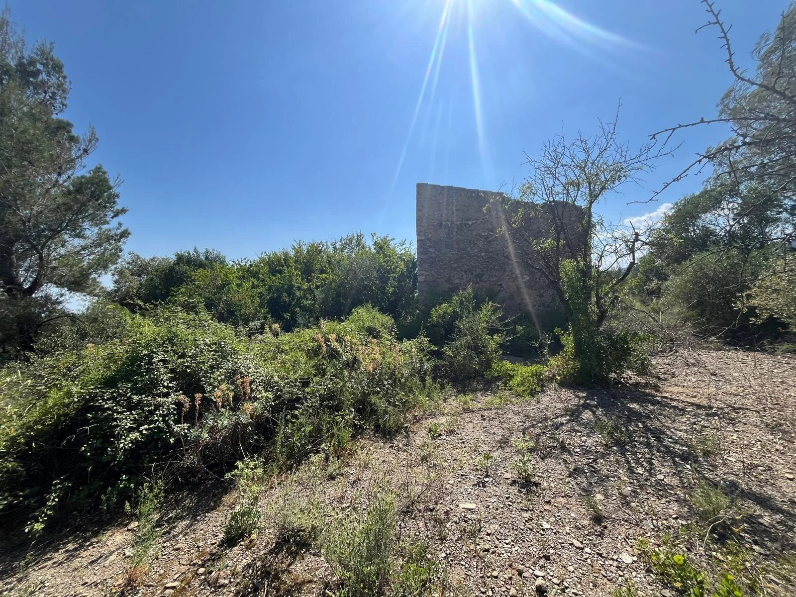 Terreno rústico en Valls con edificación