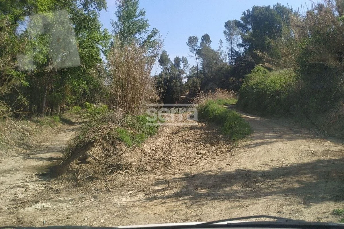 Viñedo de 10.000 m² en Sant Martí