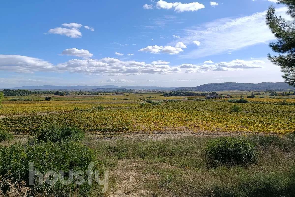 Terreno rústico con viñedo cerca de Vilafranca