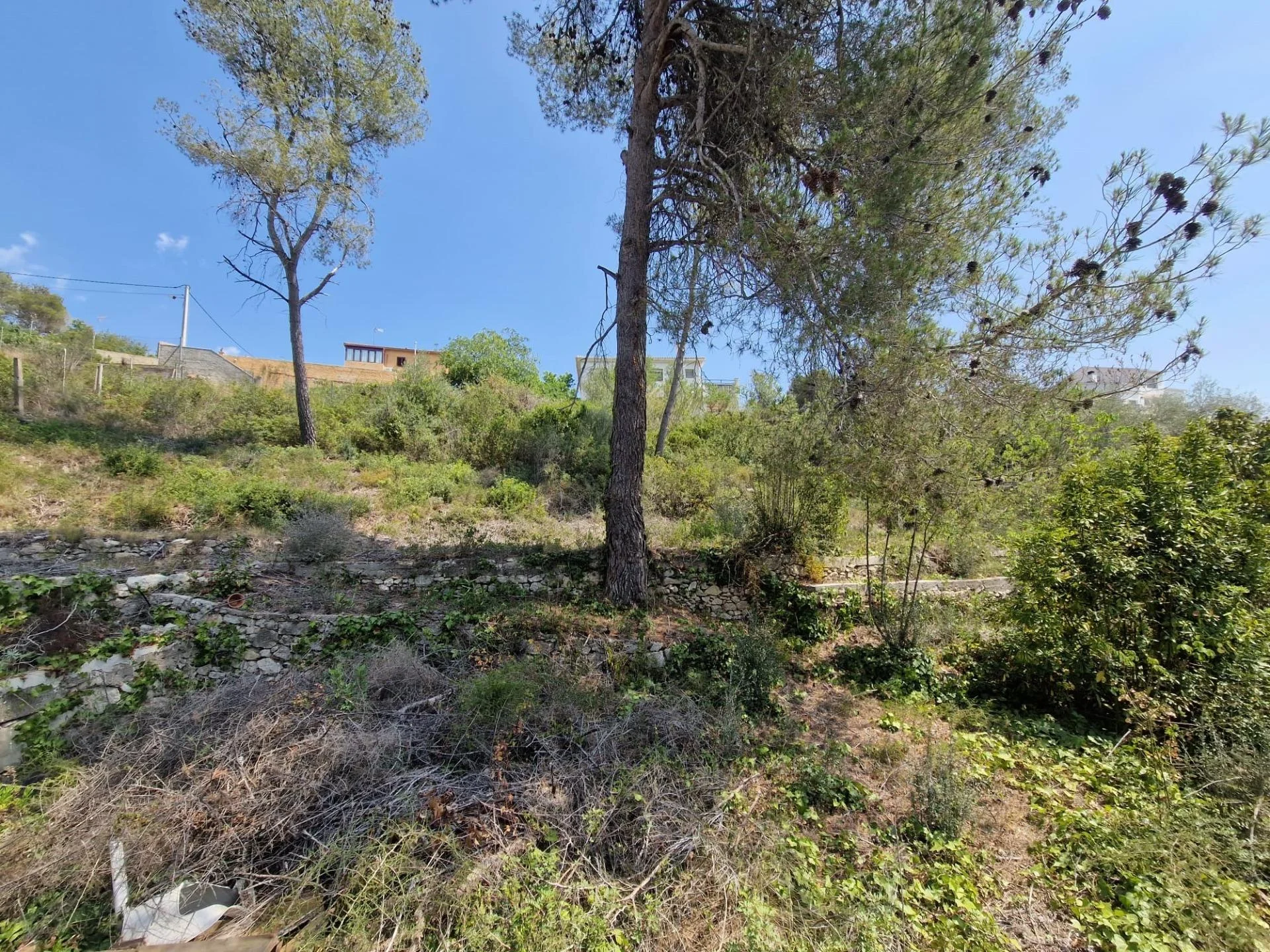 Terreno urbano en Can Surià