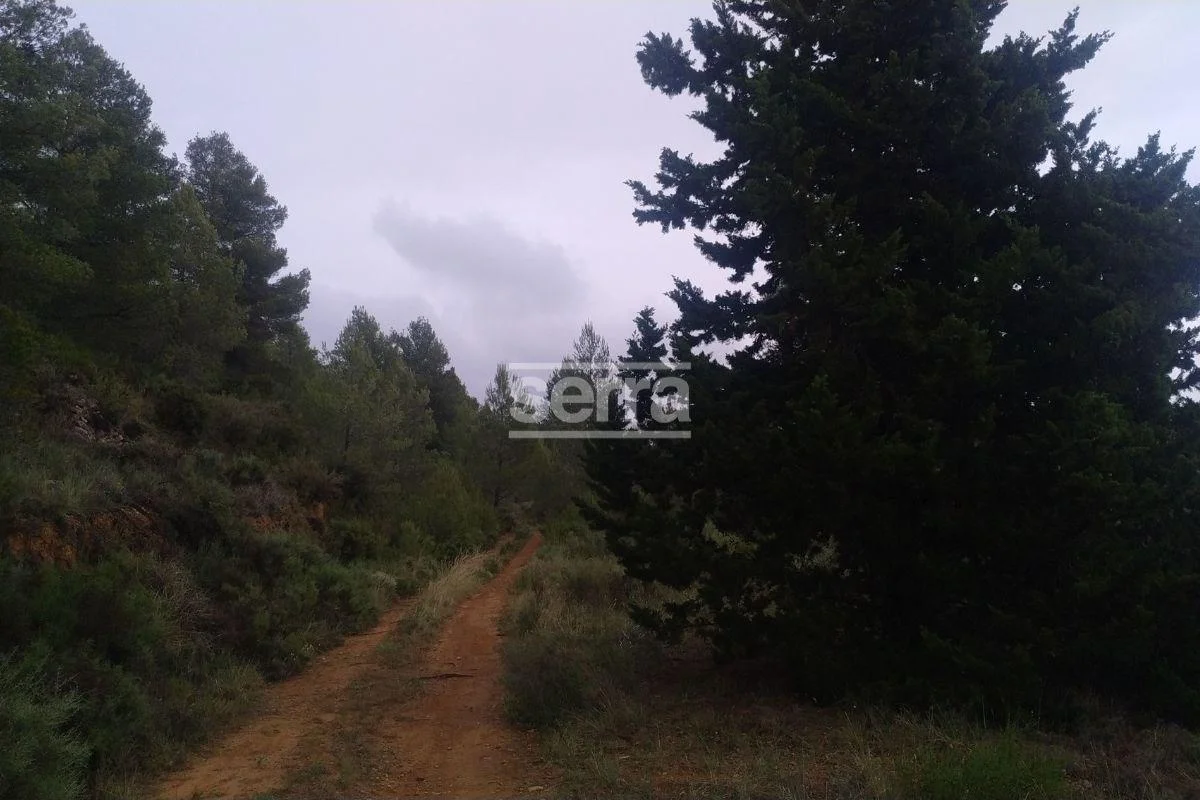 Gran finca rústica cerca de Torrelles