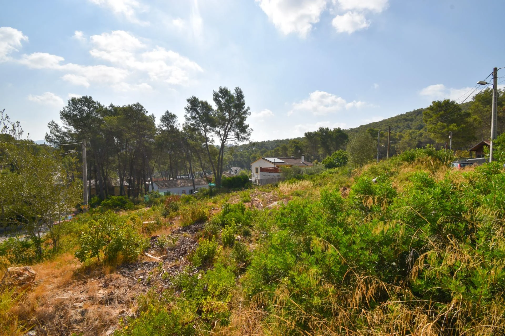 Corner plot in Las Colinas
