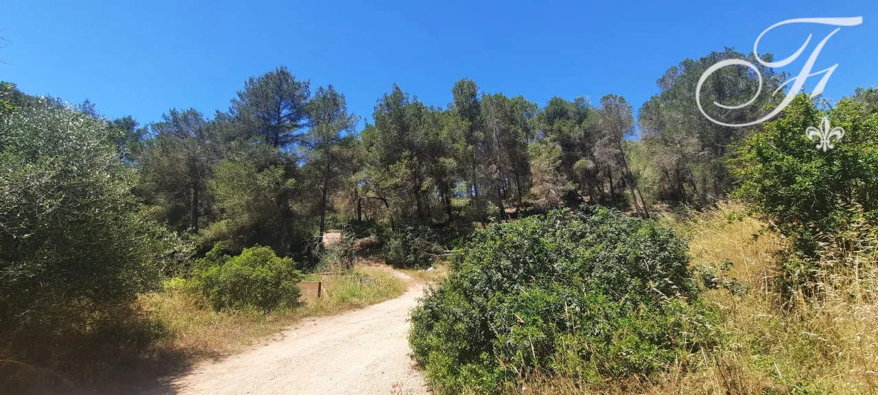 Protected Ibiza estate with restoration project