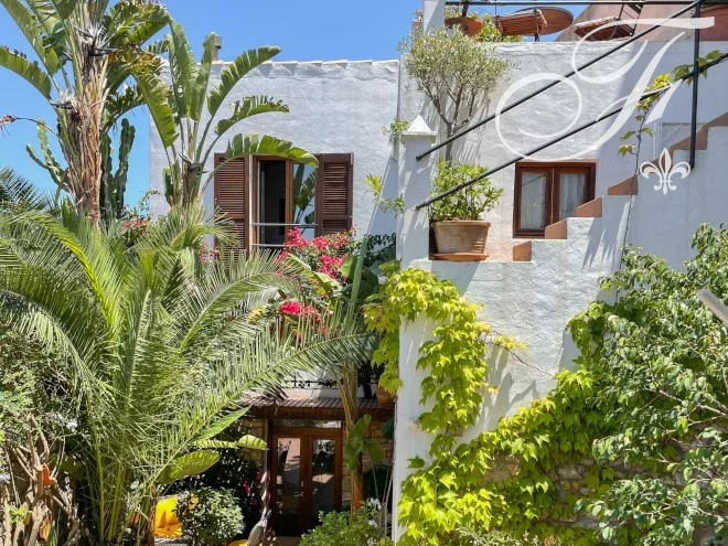 Historic Ibiza house with eight suites