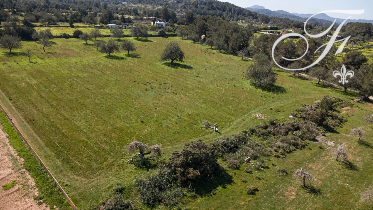 Rural Ibiza plot with vineyard potential