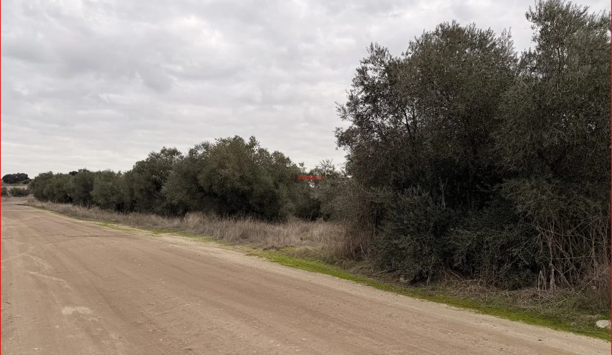 Large rustic land portfolio near town