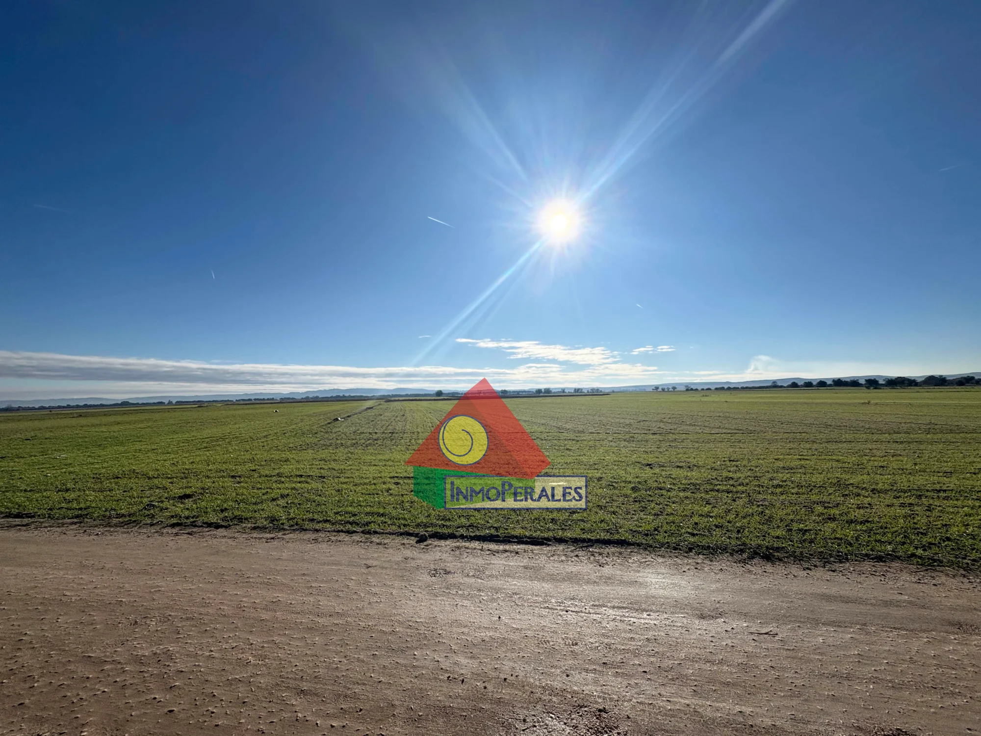 Income-producing rural plot near Getafe