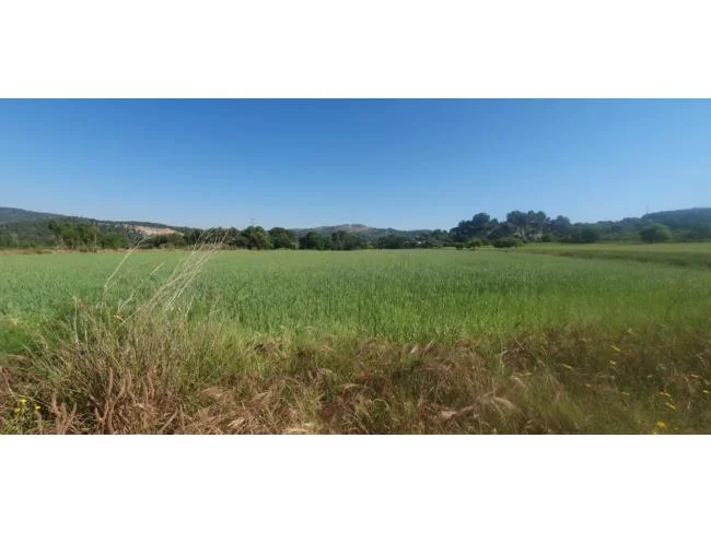 Terreno rústico agrícola de 17.881 m² en Boades