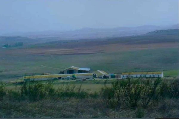 Finca agropecuaria de 360 ha en Ciudad Real, rentabilidad 5,7% bruto