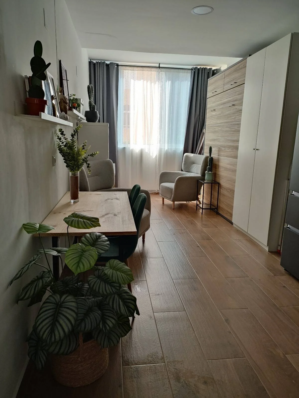 Estudio reformado en La Mata, 28 m²