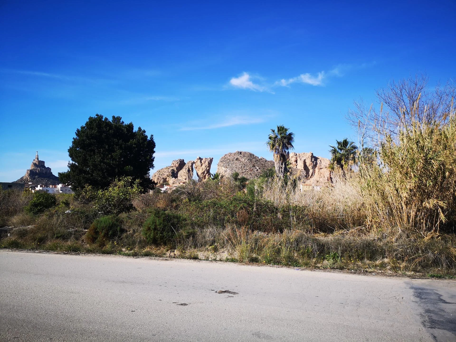 Parcela de huerta en Monteagudo con vistas